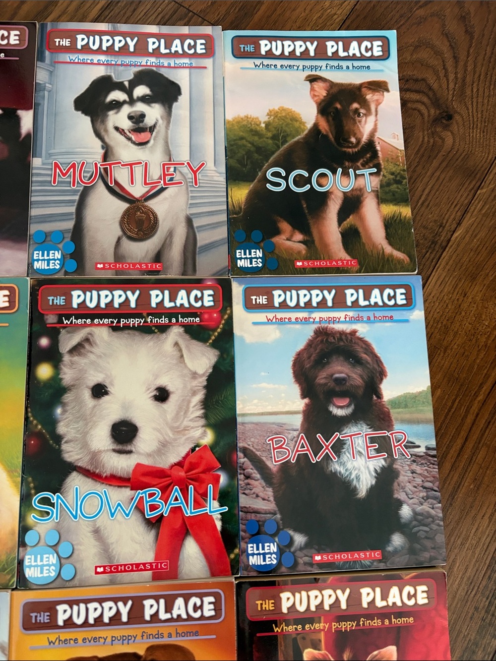 Scholastic Puppy Place Collection — Bright Multi‑Color Puppy Covers - Picture 3 of 9